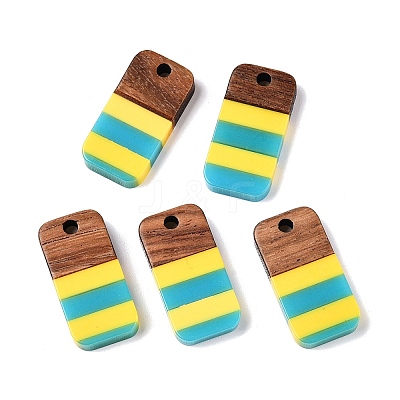 Epoxy Resin & Walnut Wood Pendants RESI-N039-121C-1