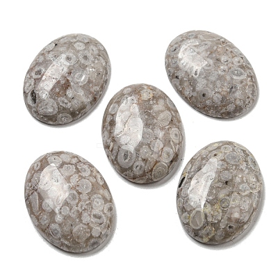 Natural Maifanite Cabochons G-C115-01B-30-1