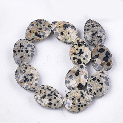 Natural Dalmatian Jasper Beads Strands G-S354-05-1