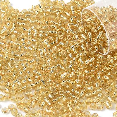 10G Glass Seed Beads SEED-YW0003-11C-1