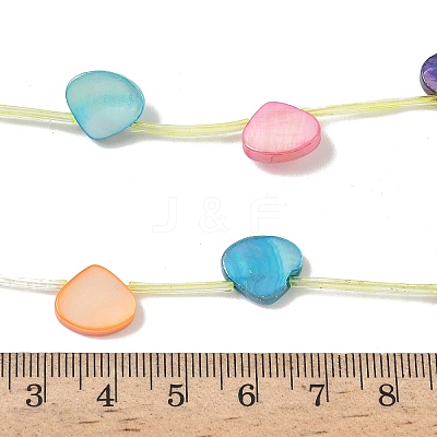 Natural Freshwater Shell Beads Strands SHEL-K006-52A-1