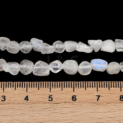 Natural Rainbow Moonstone Beads Strands G-Q060-D12-1