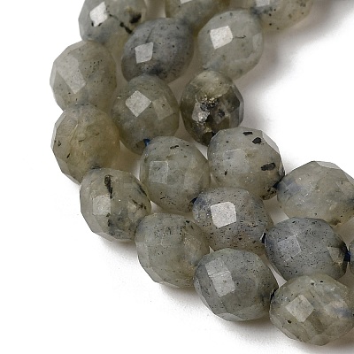Natural Labradorite Beads Strands G-K376-F07-01-1