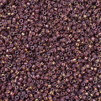MIYUKI Delica Beads SEED-JP0008-DB1013-1