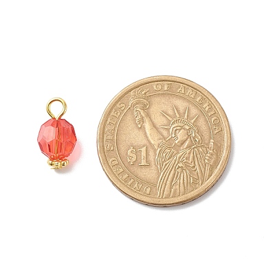 Transparent Acrylic Pendants PALLOY-JF01834-09-1