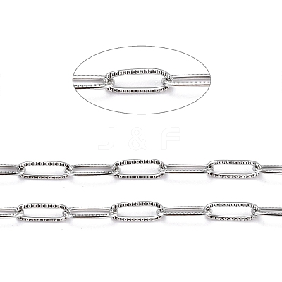 Tarnish Resistant 304 Stainless Steel Paperclip Chains CHS-D033-06P-01-1
