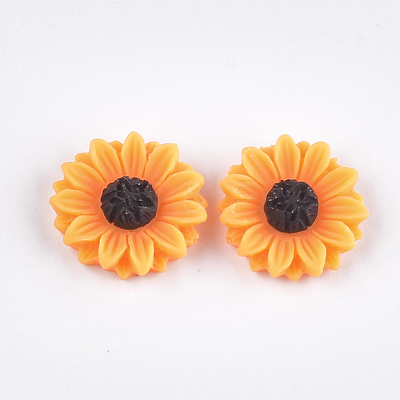 Resin Cabochons X-CRES-T010-60B-1