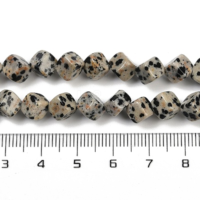 Natural Dalmatian Jasper Beads Strands G-A257-A17-01-1