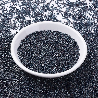 MIYUKI Round Rocailles Beads X-SEED-G007-RR2009-1