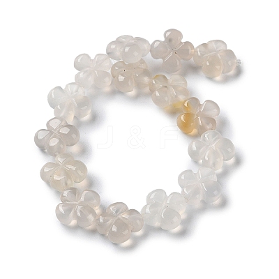 Natural White Agate Beads Strands G-M418-D03-01-1