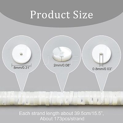 Natural Trochid Shell/Trochus Shell Beads Strands SSHEL-NB0001-35B-1