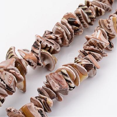 Natural Shell Bead Strands BSHE-P010-07-1
