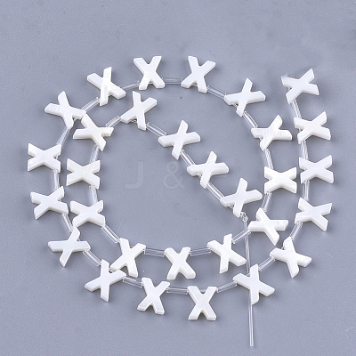 Natural Freshwater Shell Beads SHEL-T012-59X-1