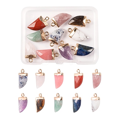 10Pcs 10 Style Natural Gemstone Pendants G-LS0002-14-1