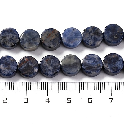 Natural Sodalite Beads Strands G-C159-B10-01-1