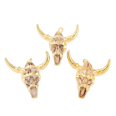 Resin Big Pendants RESI-E008-05G-04-1