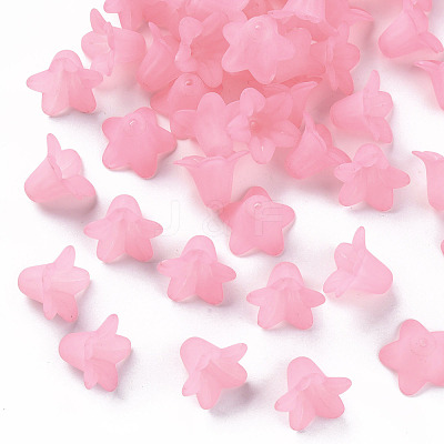 Transparent Acrylic Beads PLF018-02-1