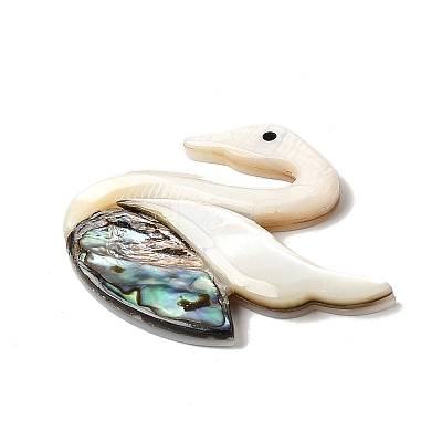 Natural Freshwater Shell & Paua Shell & White Shell Cabochons SHEL-C009-02-1