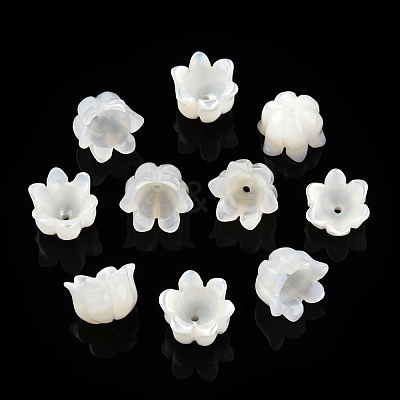 Natural White Shell Bead Caps SSHEL-N032-58B-1