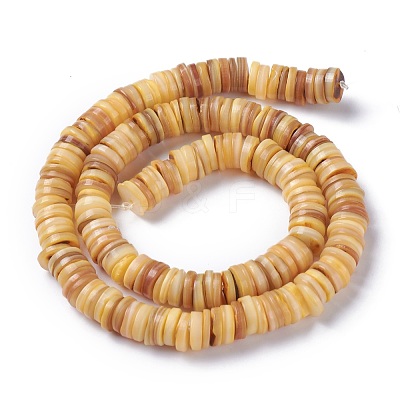 Natural Freshwater Shell Beads Strands X-BSHE-I016-04B-1