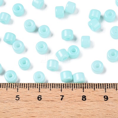 Opaque Baking Paint Glass Seed Beads SEED-T008-02N-1
