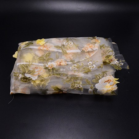 Polyester Organza Fabric ORIB-WH0005-06A-1