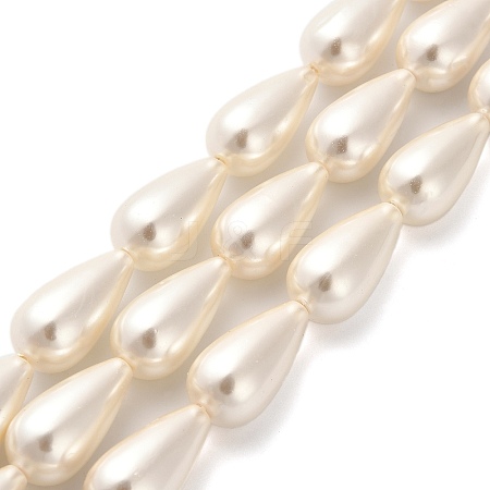 Electroplate Shell Pearl Beads Strands BSHE-G010-10x20mm-01-1