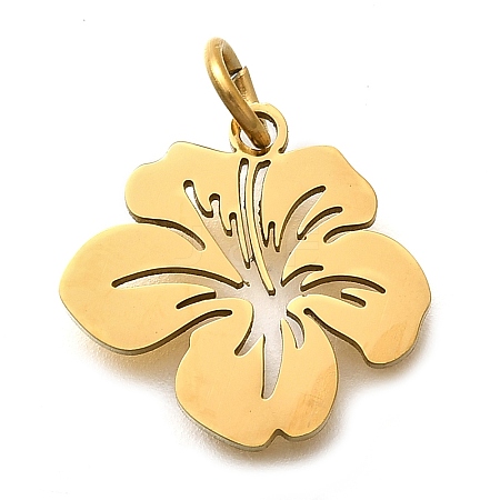 304 Stainless Steel Charms STAS-Z119-26G-1
