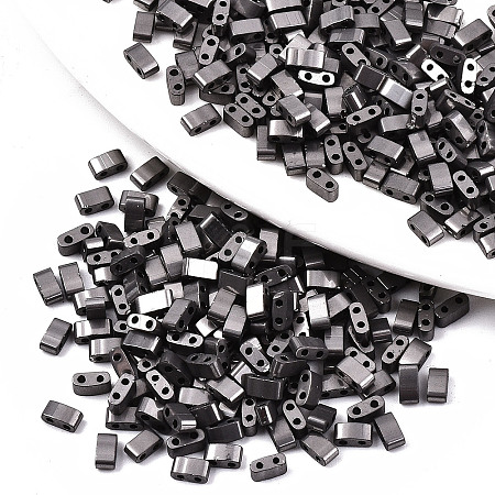FGB 2-Hole Glass Seed Beads SEED-S031-M-SH576-1