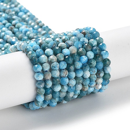 Natural Apatite Beads Strands G-J400-E04-01-1