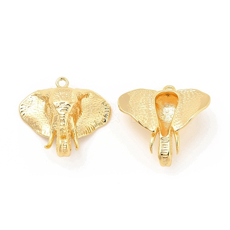Brass Pendants KK-B062-01G-1