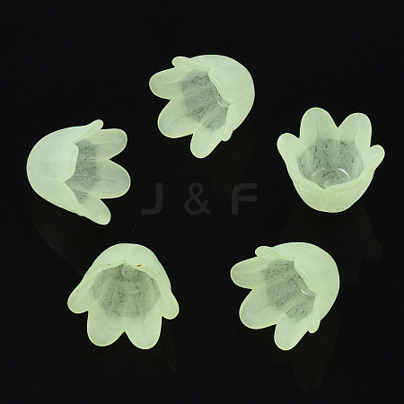 Transparent Acrylic Bead Caps FACR-N005-002B-1