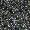 Transparent Glass Seed Beads SEED-Z001-C-D01-3