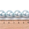 Electroplated Shell Pearl Beads Strands BSHE-G041-16mm-03-4
