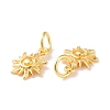 Brass Charms KK-G418-21G-3