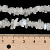 Natural Rainbow Moonstone Chip Beads Strands X-G-C195-01-5