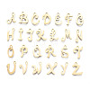 201 Stainless Steel Charms STAS-T044-217G-1