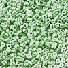 6/0 Opaque Colours Seep Glass Seed Beads X-SEED-F003-04A-06-3