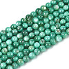 Natural Freshwater Shell Beads Strands X-BSHE-T009A-01J-1