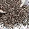 TOHO 6/0 Demi Round Beads Y-SEED-DR06-0994-3