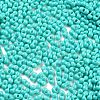 Baking Paint Glass Seed Beads SEED-A033-05O-3