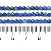 Natural Lapis Lazuli Beads Strands G-L587-A03-02-2