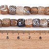 Natural Weathered Agate Beads Strands G-NH0038-01C-5