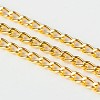 Iron Twisted Chains Curb Chains CHS003Y-G-1