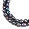 Natural Cultured Freshwater Pearl Beads Strands PEAR-P064-20K-03D-4