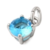 Birthdaystone Theme December 304 Stainless Steel Charms STAS-B128-60P-12-2