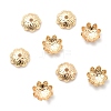 Brass Bead Caps KK-Z030-09LG-1