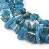 Natural Apatite Beads Strands G-F666-01B-02-3