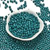 Baking Paint Pearlized Glass Seed Beads SEED-C001-04A-05-2