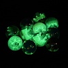 Luminous Resin & Glitter Powder UV Reactive Beads RE-CBA2450-01-3